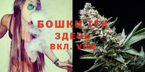 прущие грибы Гусев