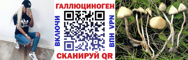 Галлюциногенные грибы Psilocybine cubensis  Волжск 