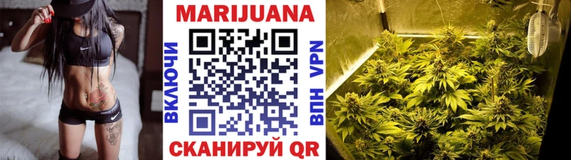 Канабис семена Волжск
